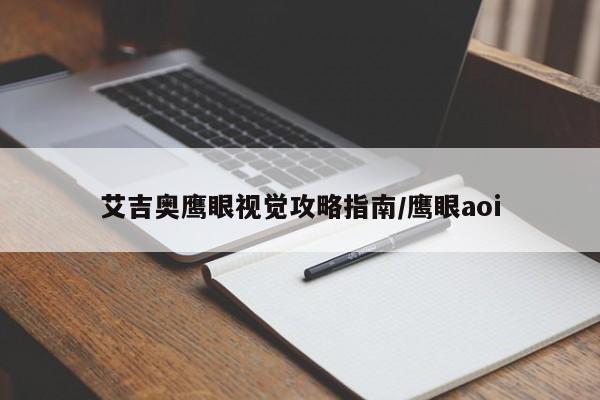 艾吉奥鹰眼视觉攻略指南/鹰眼aoi
