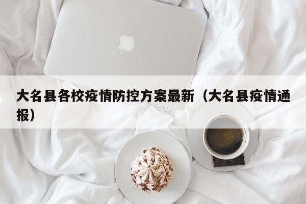 大名县各校疫情防控方案最新（大名县疫情通报）